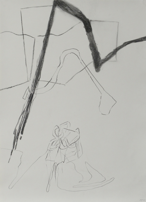 z.t. - 2015 - potlood-houtskool op papier - 64x48cm