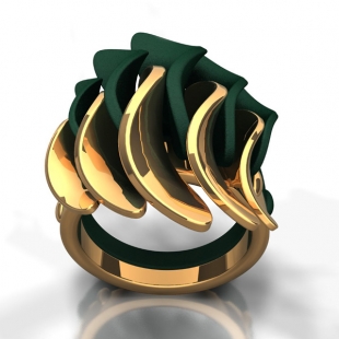 Duo-ring, 2013, nylon met verguld messing