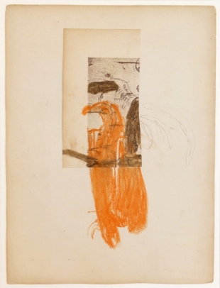 Tjibbe Hooghiemstra, Oranjevogel, 2003, gem. techn. op papier, 50x60cm